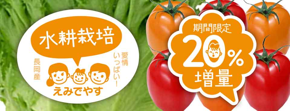 野菜シール｜果物シール｜農家シール｜農業シール｜農園シール｜生産者シール｜出荷用シール｜農家ロゴ｜農業ロゴ｜農園ロゴ｜生産者ロゴ