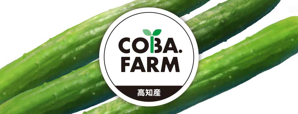 野菜シール｜農家シール｜農業シール｜農園シール｜生産者シール｜出荷用シール｜農家ロゴ｜農業ロゴ｜農園ロゴ｜生産者ロゴ